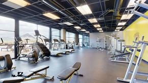 Phoenix apartment for rent - A spacious fitness center here at Trend at 51 featuring rows of treadmills and elliptical machines along floor-to-ceiling windows with mountain views, strength training equipment and benches arranged throughout, open rubber flooring, exposed ceiling details, and bright accent walls creating an energizing workout environment.