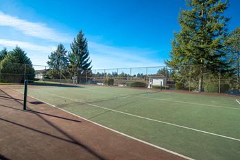 Tennis court