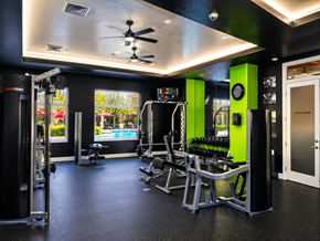 Sacramento apartment for rent - A gym with a variety of equipment including a treadmill, weights, and a bench press.