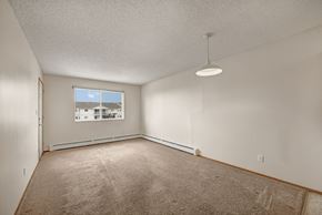 Camrose apartment for rent - A spacious, empty living area here at Aspen Terrace with soft beige carpeting, neutral walls, and a large window that brings in natural light. A modern pendant light and open layout create a bright, comfortable feel.