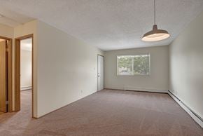 Wetaskiwin apartment for rent - A spacious, empty living room here at Birch Terrace with soft beige carpet, neutral walls, and a modern hanging light fixture. A large window with blinds brings in natural light, and the open layout connects to a hallway leading to additional rooms.