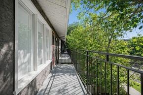 Edmonton apartment for rent - A sunny outdoor balcony here at Broadmoor with a wide balcony-style path, black metal railings, and large windows along the exterior wall. Mature green trees surround the view, creating a leafy, peaceful setting with plenty of natural shade and fresh air.