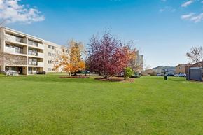 Edmonton apartment for rent - A spacious outdoor courtyard here at Cedar Gardens with wide open green space and mature trees, featuring colorful landscaping, a peaceful lawn area for relaxing or playing, and clear views of the surrounding community buildings under a bright blue sky.