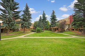 Edmonton apartment for rent - A peaceful courtyard at Lakewood Heights featuring manicured green lawns, mature trees, walking paths, and a quiet community setting that offers a relaxed, park-like vibe right outside your door.