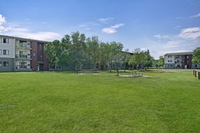Regina apartment for rent - Madison Park Apartment Homes buildings surround a lush green lawn with picnic tables and trees under a clear blue sky, conveying a serene residential atmosphere.
