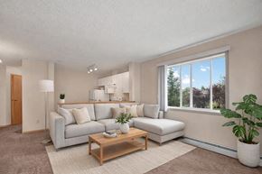 Edmonton apartment for rent - A bright, modern living room here at Madison Park with beige carpet, soft neutral walls, and a large window letting in natural light and views of greenery. A light gray sectional sofa with neutral pillows sits on a textured area rug, paired with a wooden coffee table, floor lamp, and potted plants, with the kitchen visible in the background.