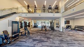 Sacramento apartment for rent - A gym with a variety of equipment including weights and treadmills.