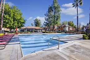San Bernardino apartment for rent - A resort-style outdoor pool here at Castlepark with clear blue water, wide pool decking, and metal handrails for easy access. Rows of lounge chairs with umbrellas line the poolside, while mature trees, landscaped greenery, and nearby apartment buildings create a relaxing, sunny community setting.