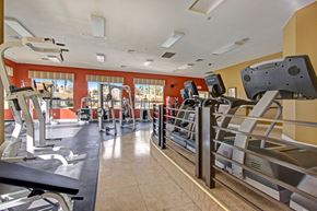 Moreno Valley apartment for rent - A modern fitness center here at Fresco showcasing multiple cardio machines arranged along a raised platform, strength training equipment visible in the background, and large windows overlooking the community pool, complemented by warm accent walls, patterned window shades, overhead lighting, and an open layout designed for convenient daily workouts.
