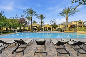 Moreno Valley apartment for rent - A pool surrounded by lounge chairs and palm tree with the yellow buildings of Rancho Belago Apartment Homes in the background..