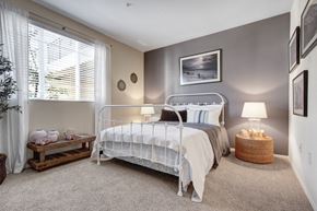 Riverside apartment for rent - A serene bedroom here at Vesada showcasing a white metal bed frame dressed in crisp white bedding with soft gray and neutral accent pillows, set against a calming gray accent wall. The room features plush carpeting, matching bedside lamps on woven and wood tables, framed wall art, and a large window with sheer curtains that fills the space with natural light.