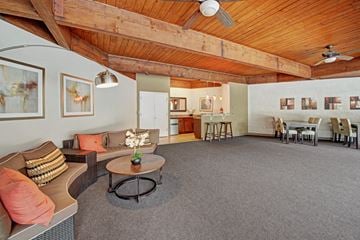 Colorado Springs apartment for rent - A living room with a grey carpet and wooden ceiling.
