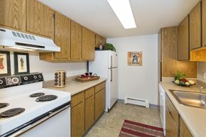 Colorado Springs apartment for rent - A functional kitchen here at Eagle Ridge showcasing warm wood cabinetry, laminate countertops, a full appliance setup with a refrigerator and range, overhead lighting, neutral vinyl flooring, a stainless sink with ample counter space, and simple wall décor that adds a cozy, practical feel to the space.