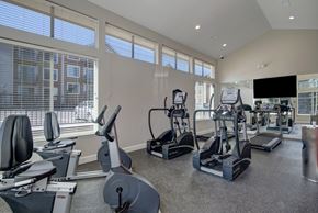 Colorado Springs apartment for rent - A bright modern fitness center here at Vista View featuring large floor-to-ceiling windows with white blinds, multiple cardio machines including treadmills, ellipticals, and stationary bikes, mirrored walls that reflect natural light, durable rubber flooring, and a mounted flat-screen TV creating an open and energizing workout space.
