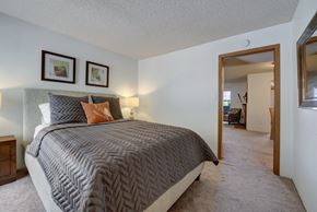 Colorado Springs apartment for rent - A cozy bedroom here at Windtree featuring plush carpeting, a neutral upholstered bed with textured gray bedding and accent pillows, warm bedside lighting, framed wall art above the headboard, and an open doorway leading into the adjoining living area, creating a comfortable and inviting private retreat.
