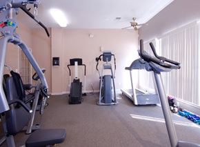 Colorado Springs apartment for rent - A bright fitness center here at Camelback Pointe featuring cardio equipment including treadmills, an elliptical, and strength machines, with neutral carpeted flooring, large windows letting in natural light, wall-mounted mirrors, and an open layout designed for comfortable everyday workouts.