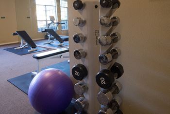 Free weights