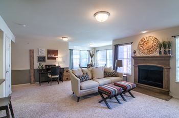 Wood-burning fireplace*