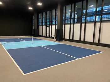 New! Indoor pickleball court