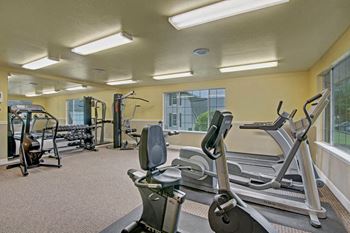 Treadmills, a bike, an elliptical, and a stair stepper along with free hand weights and a multi-exercise machine
