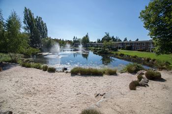 Pond