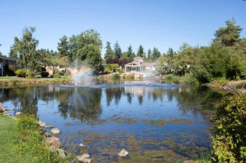 Pond