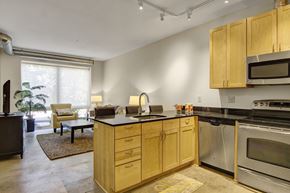 Minneapolis apartment for rent - A modern open kitchen and living room here at 7West featuring light wood cabinetry, dark countertops with a breakfast bar and integrated sink, stainless-style appliances, and track lighting overhead. The space opens into a cozy living area with a neutral sofa, accent chair, side table, indoor plant, and a large window that brings in soft natural light.