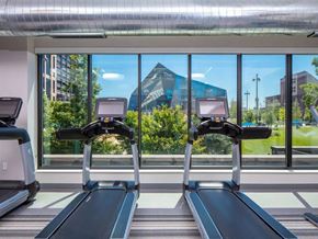 Minneapolis apartment for rent - A modern fitness center here at Edition featuring treadmills positioned in front of floor-to-ceiling windows with views of landscaped greenery and nearby city buildings. Exposed ductwork, bright natural light, and clean-lined equipment create an open, energizing workout space designed for daily fitness routines.