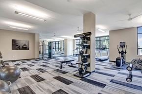 Minneapolis apartment for rent - A spacious fitness center here at Gatsby featuring a bright open layout with large windows, modern cardio machines, strength training equipment, free weights, and stability balls arranged across patterned flooring. Neutral walls, ceiling fans, and ample lighting create a clean, energizing environment designed for a comfortable and effective workout experience.