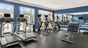 Charlotte apartment for rent - A modern fitness center here at CityPark View featuring treadmills, ellipticals, stationary bikes, free weights, and a workout bench arranged on sleek flooring. Large windows and glass doors bring in natural light, while wall mirrors and mounted screens create an open, energizing space designed for cardio and strength training.