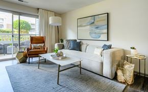 Charlotte apartment for rent - A living room with a white couch, a brown chair, and a grey rug.