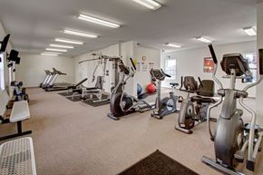 Williston apartment for rent - A spacious, well-lit fitness center here at Windscape Apartments featuring a variety of cardio machines, including ellipticals, stationary bikes, and treadmills, along with strength training equipment and free weights. The open layout, neutral flooring, wall mirrors, and bright overhead lighting create an inviting space for residents to work out comfortably.
