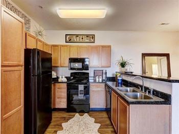 Modern black appliances