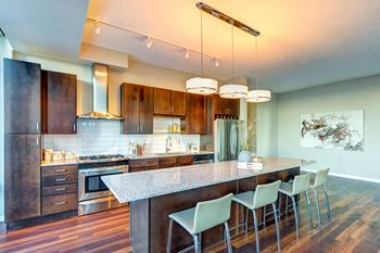 Gourmet kitchens with gas ranges