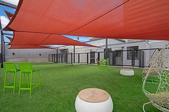 Rooftop pet utopia featuring dog wash, grooming station and fenced dog run