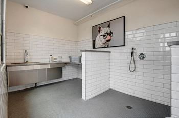 Rooftop pet utopia featuring dog wash, grooming station and fenced dog run