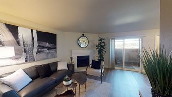 Wood-burning fireplace*