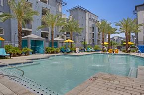 Tempe apartment for rent - A pool surrounded by palm trees and lounge chairs.