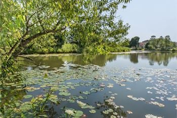 Serenity pond