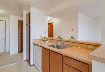 Kitchen with dishwasher, deep sink, and pantry