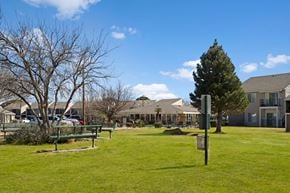 Odessa apartment for rent - A peaceful green courtyard at Acacia Park with open lawn space, mature trees, outdoor seating, and clear walking paths, creating a relaxed, park-like setting for everyday outdoor enjoyment.