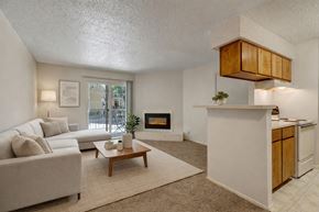 Midland apartment for rent - A living room with a fireplace and a couch.