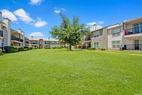 Odessa apartment for rent - A spacious outdoor courtyard here at High Plains with a wide, manicured green lawn surrounded by apartment buildings featuring private balconies and large windows. A mature tree sits at the center of the space, creating a bright, open, and welcoming community setting under clear blue skies.