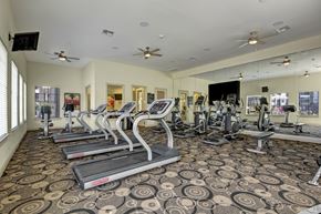 Midland apartment for rent - A spacious fitness center here at Le Mirage featuring rows of modern treadmills and cardio machines, mirrored walls, wall-mounted televisions, ceiling fans, patterned flooring, and large windows that bring in natural light for a bright and motivating workout environment.