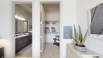 Allen apartment for rent - A bathroom with a sink, mirror, and a plant.