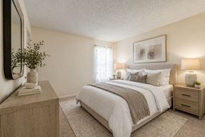 Midland apartment for rent - A bedroom with a large bed, a nightstand, and a plant on a dresser.