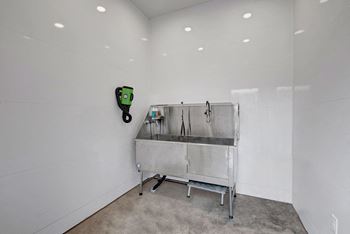 Pet wash station