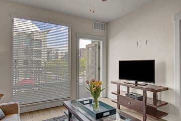 Salt Lake City apartment for rent - A living room with a television and a vase of flowers on a coffee table.