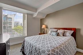 Salt Lake City apartment for rent - A bright bedroom here at Velo on the Boulevard with a wood bed frame, patterned gray bedding, bedside lamp, soft carpet, and a large window with blinds bringing in natural light and neighborhood views.