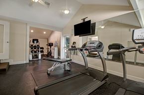 Bellevue apartment for rent - A well-equipped fitness center here at Adagio featuring treadmills, an adjustable workout bench, and strength training machines set on durable flooring, complemented by mirrored walls, mounted televisions, and overhead lighting, creating a bright, functional space designed for cardio workouts, strength training, and everyday fitness routines.